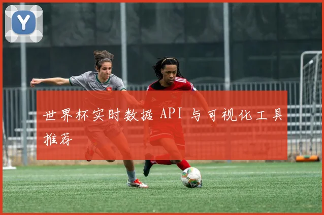 世界杯实时数据 API 与可视化工具推荐