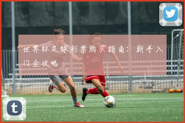 世界杯足球彩票购买指南：新手入门全攻略