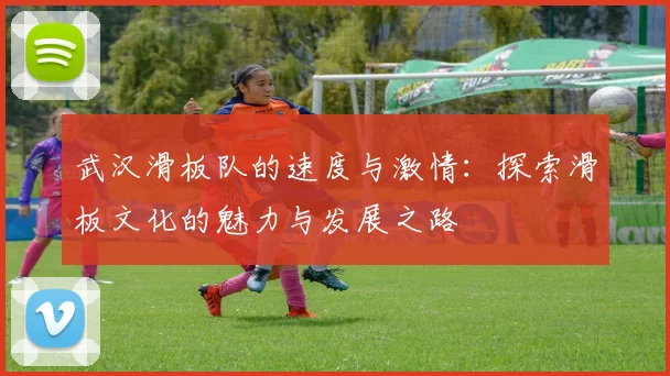 武汉滑板队的速度与激情：探索滑板文化的魅力与发展之路