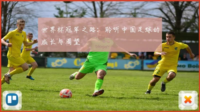 世界杯冠军之路：聆听中国足球的成长与渴望