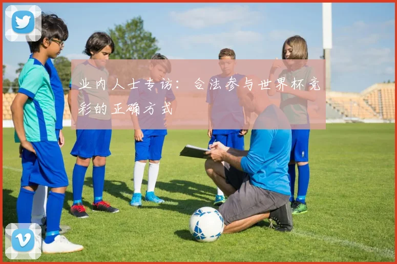 业内人士专访：合法参与世界杯竞彩的正确方式