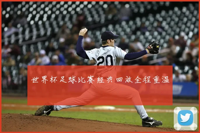 世界杯足球比赛经典回放全程重温