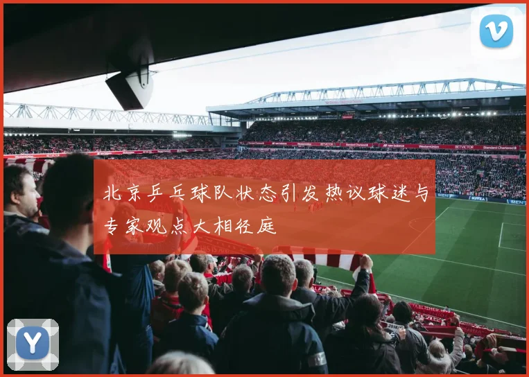 北京乒乓球队状态引发热议球迷与专家观点大相径庭