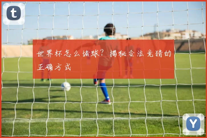 世界杯怎么堵球？揭秘合法竞猜的正确方式