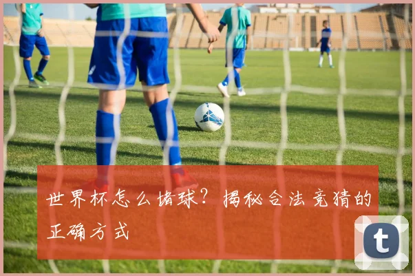 世界杯怎么堵球？揭秘合法竞猜的正确方式