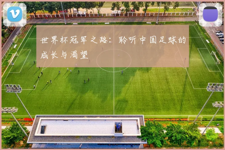 世界杯冠军之路:聆听中国足球的成长与渴望