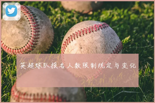 英超球队报名人数限制规定与变化