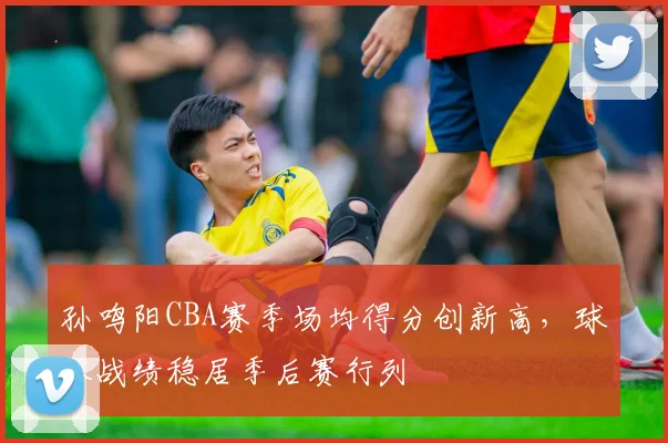 孙鸣阳CBA赛季场均得分创新高,球队战绩稳居季后赛行列
