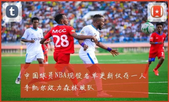 中国球员NBA现役名单更新仅存一人李凯尔效力森林狼队